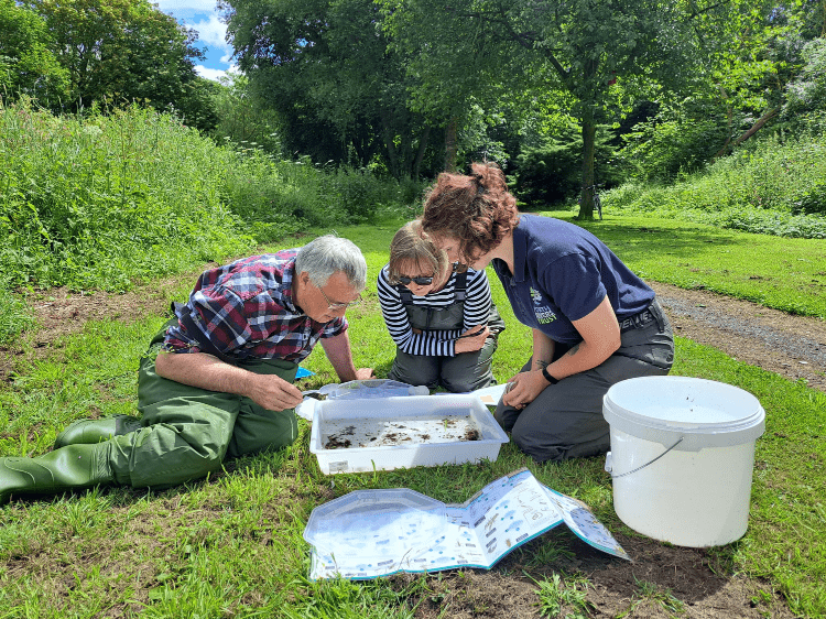 Community science: invertebrate monitoring