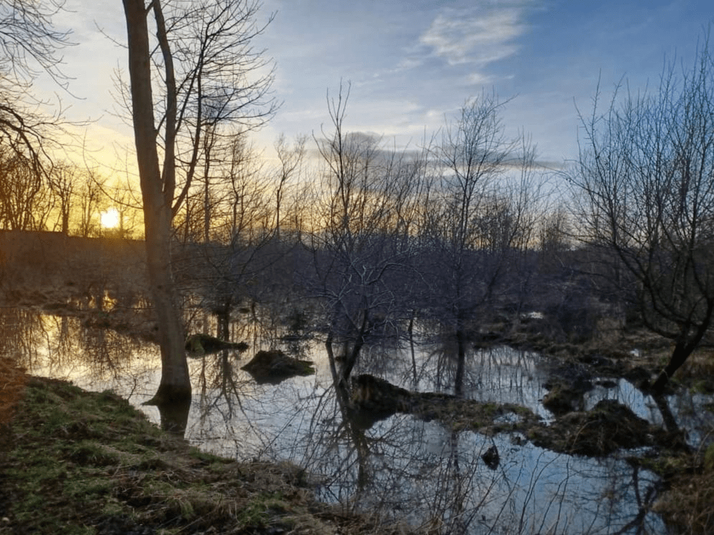 Balcaskie Wetlands Project